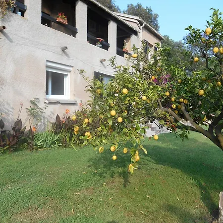 Apartment La Riviere Penta di Casinca