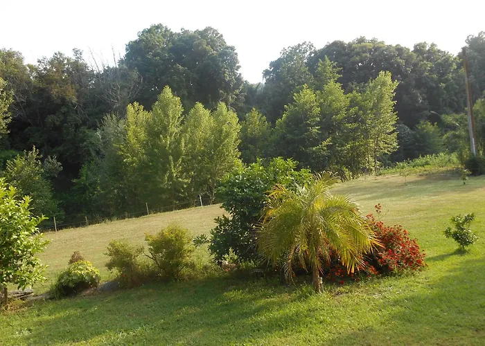 La Riviere Appartement