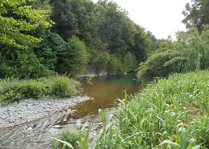 La Rivière Appartement